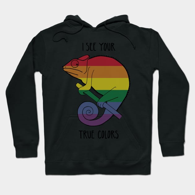 Chameleon LGBT Hoodie by drFreehair